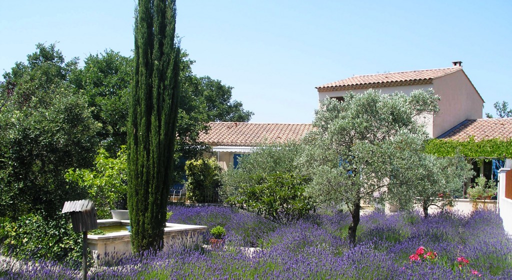 maison d'hôtes de charme dans le luberon avec des lavandes