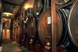 Winery of Luberon area