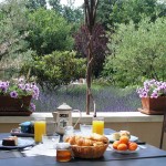 You savor pastries and jams prepared with fruits of our garden as well as croissants, breads, fresh fruit, honey, various cheeses, yogurts, cooked pork meats, with orange juice, coffee, assorted teas, chocolate, …