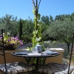 you will have breakfast, facing the garden with lavandes and Luberon mountain
